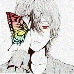 雏菊花田
